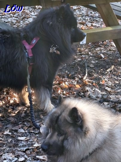 5.3.2026 - Geh wir weiter?